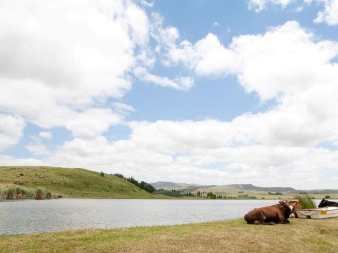 Glen Aden Daire Dullstroom Dış mekan fotoğraf